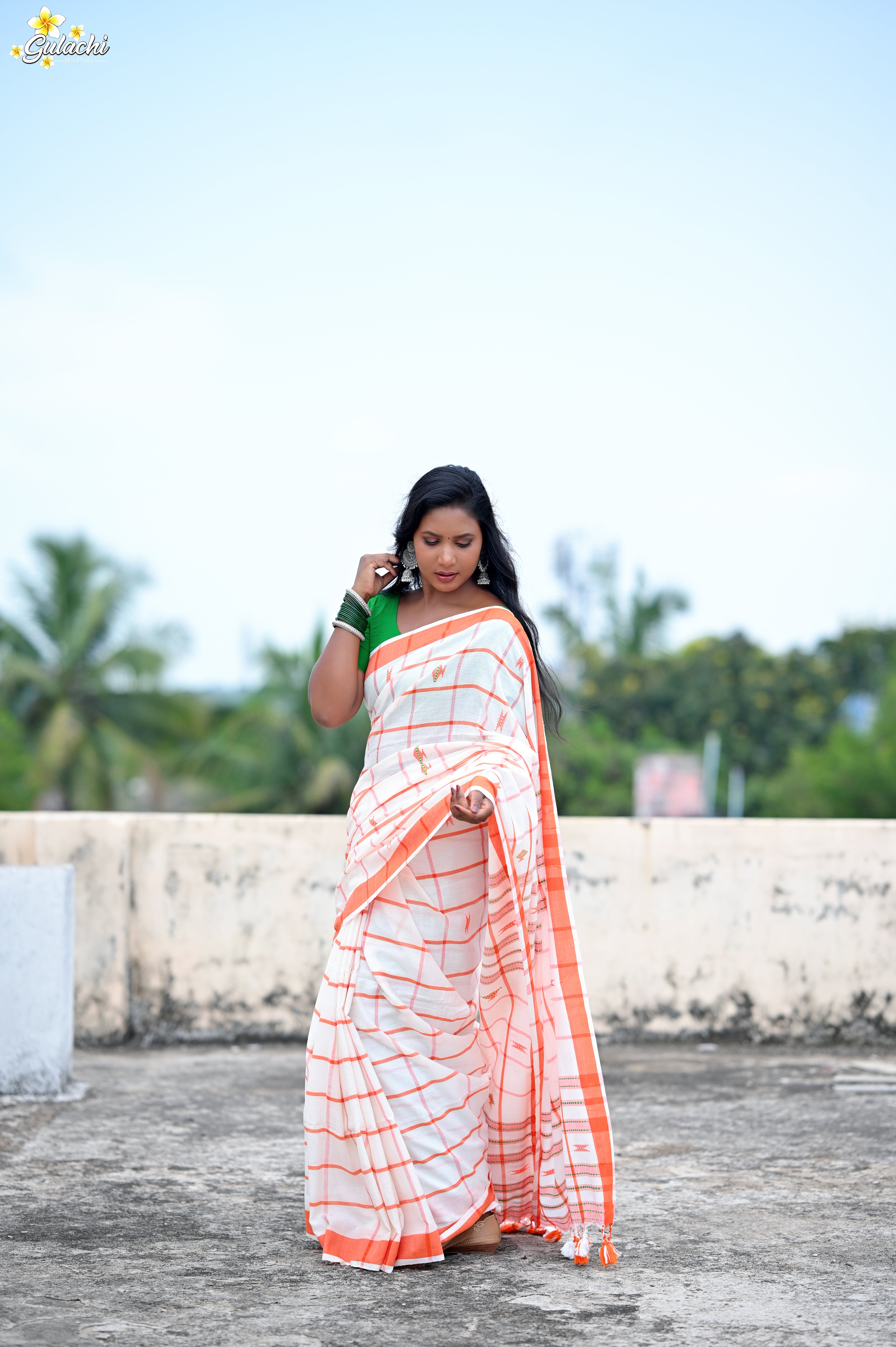 Handloom Cotton Jhal Saree