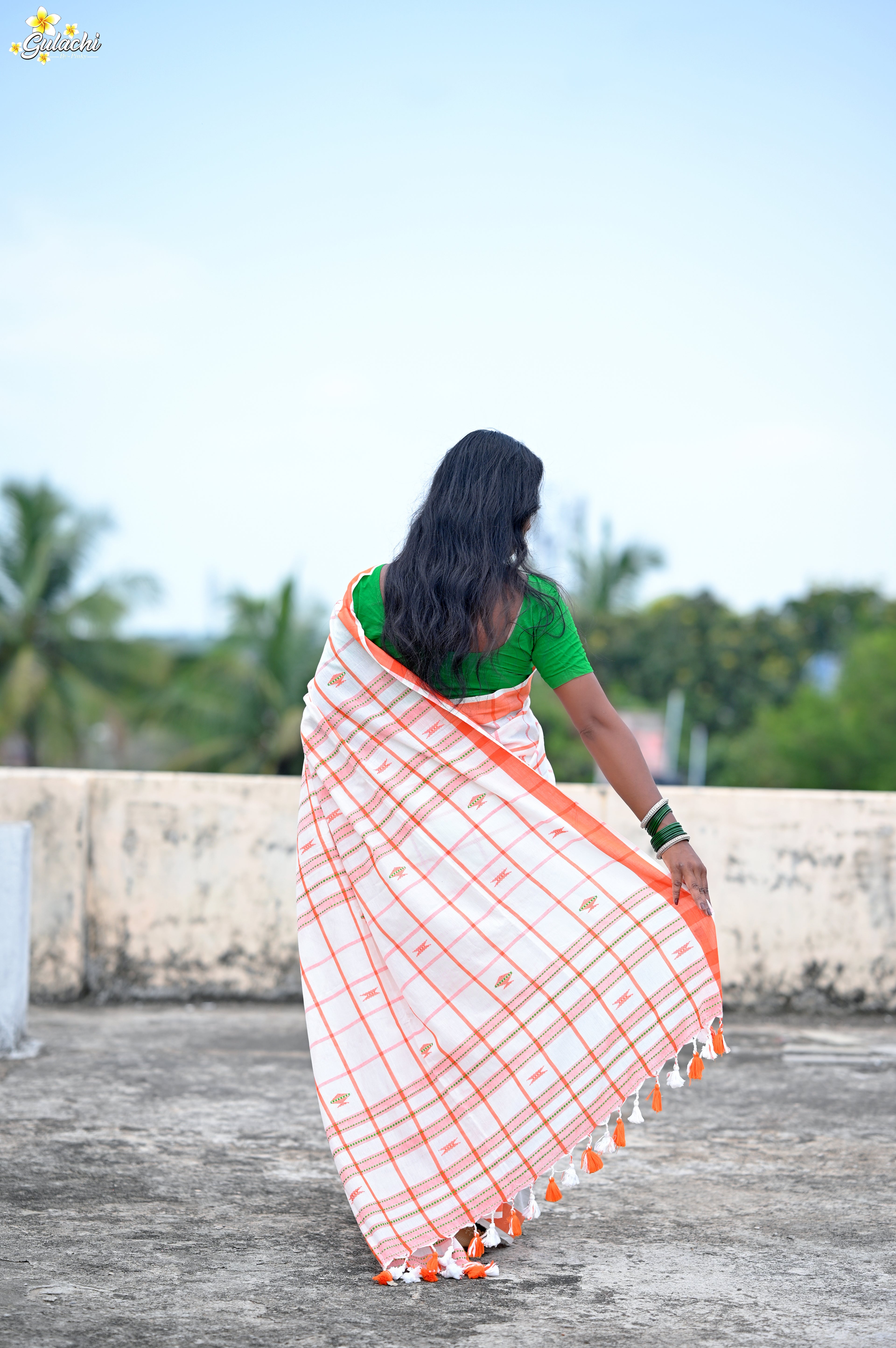Handloom Cotton Jhal Saree