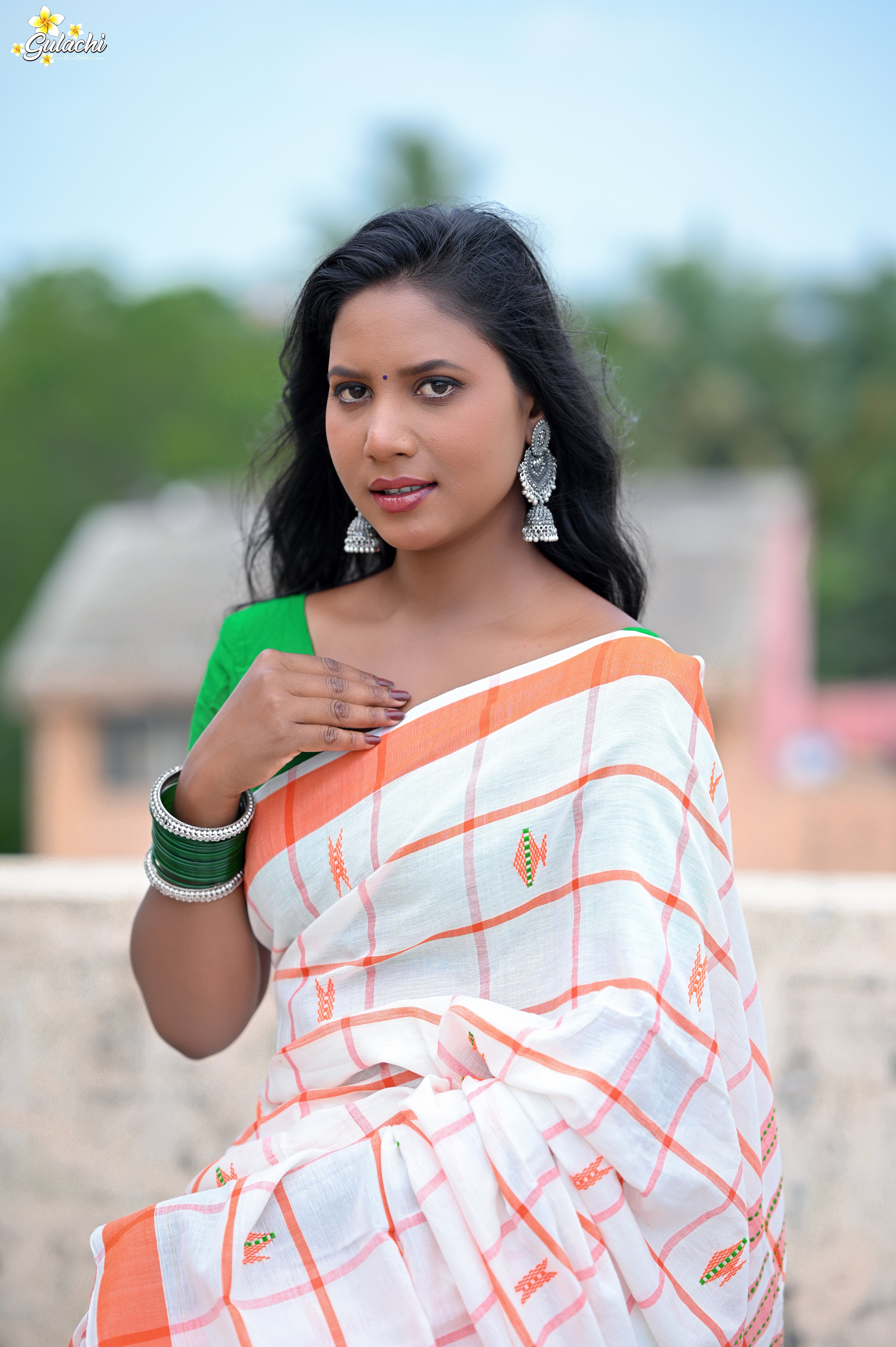 Handloom Cotton Jhal Saree