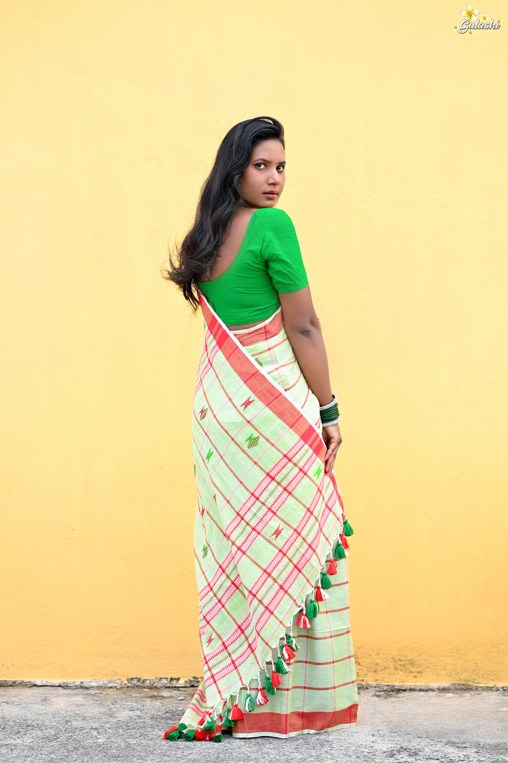 Handloom Cotton Jhal Saree