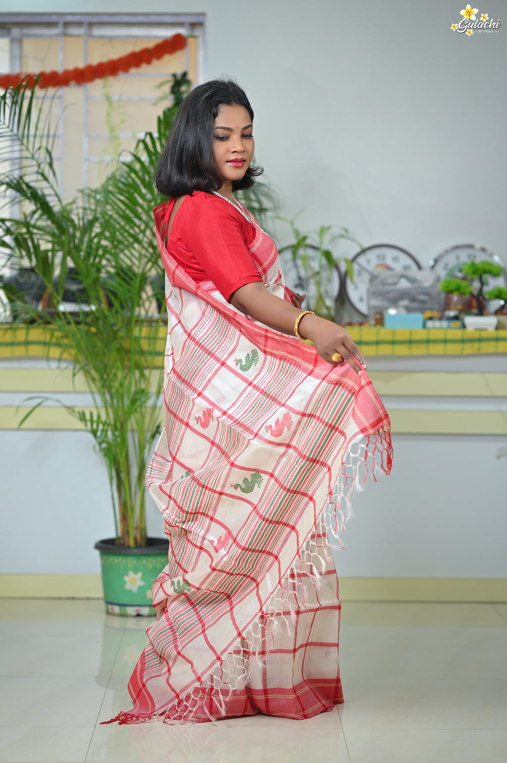 Tussar Silk Jhal Saree