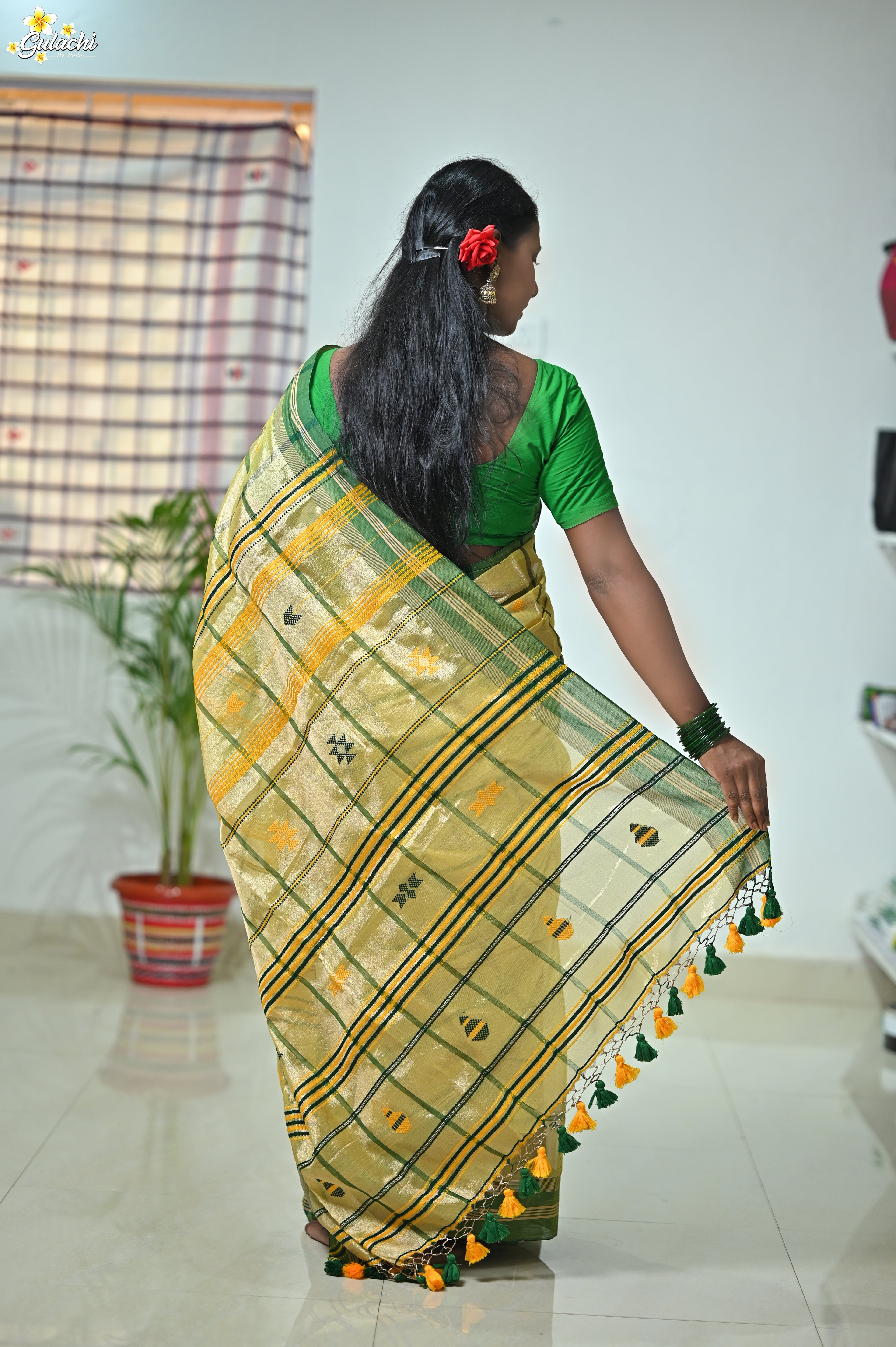 Tissue Cotton Jhal Saree