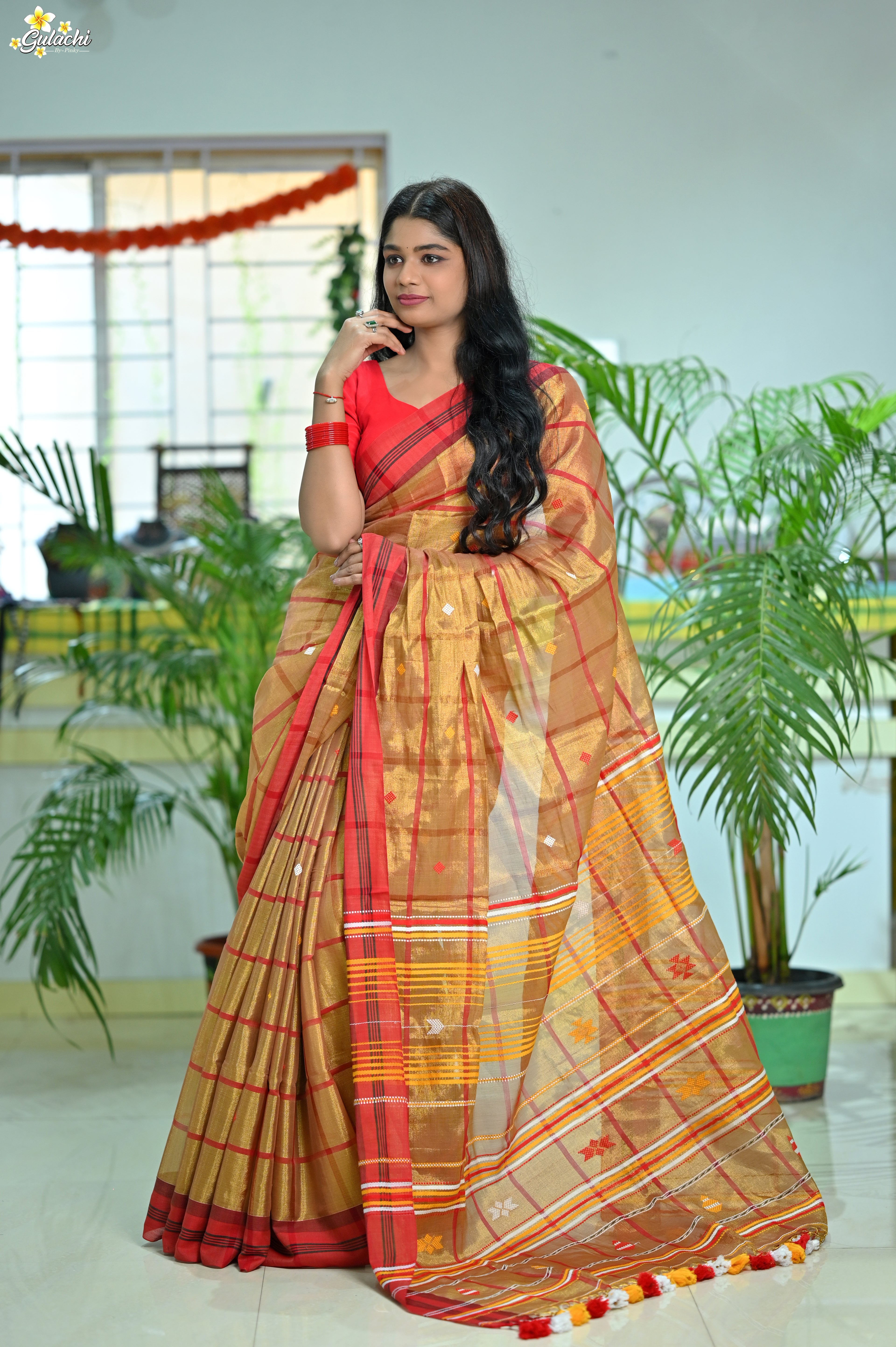 Tissue Cotton Jhal Saree