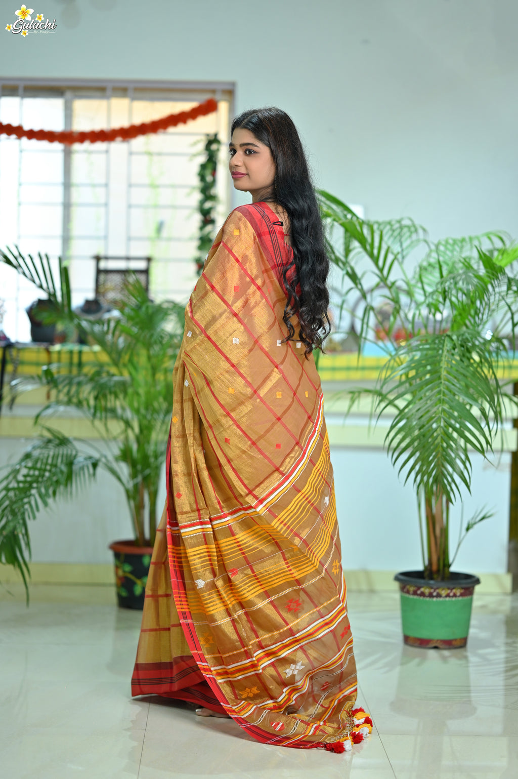 Tissue Cotton Jhal Saree