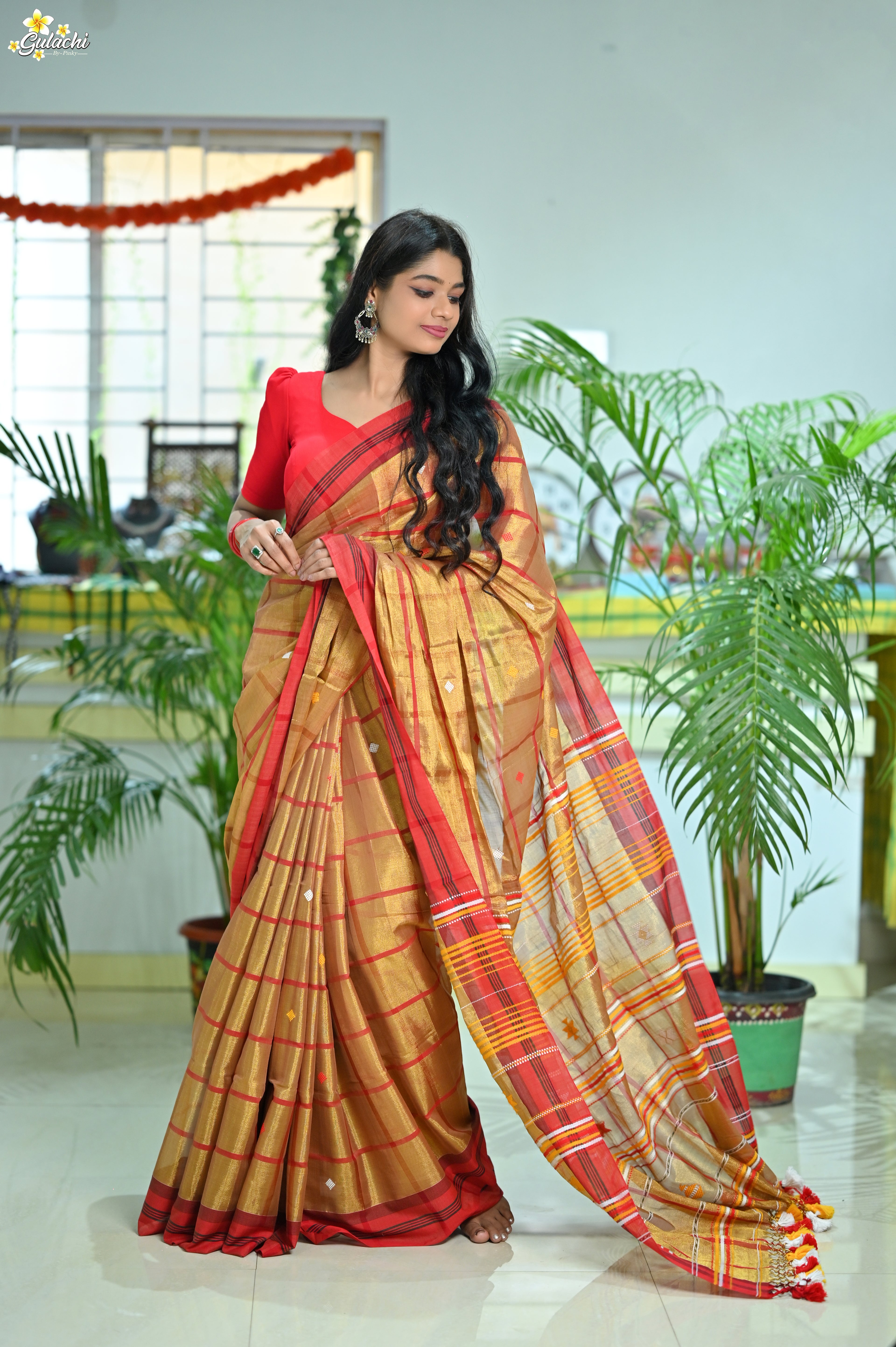 Tissue Cotton Jhal Saree