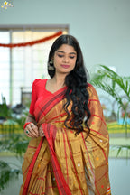 Tissue Cotton Jhal Saree
