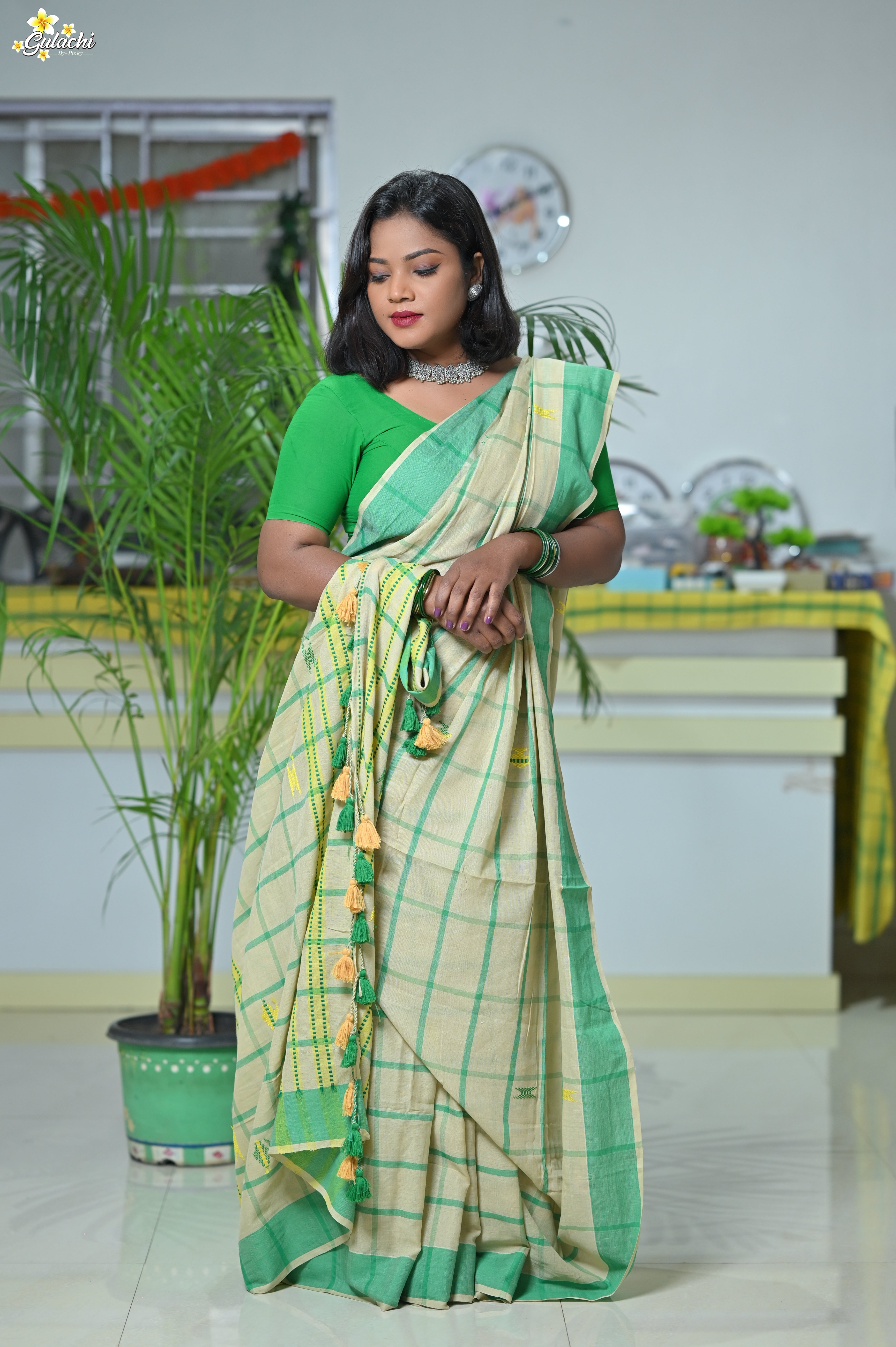 Handloom Cotton Jhal Saree