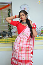 Handloom Cotton Jhal Saree