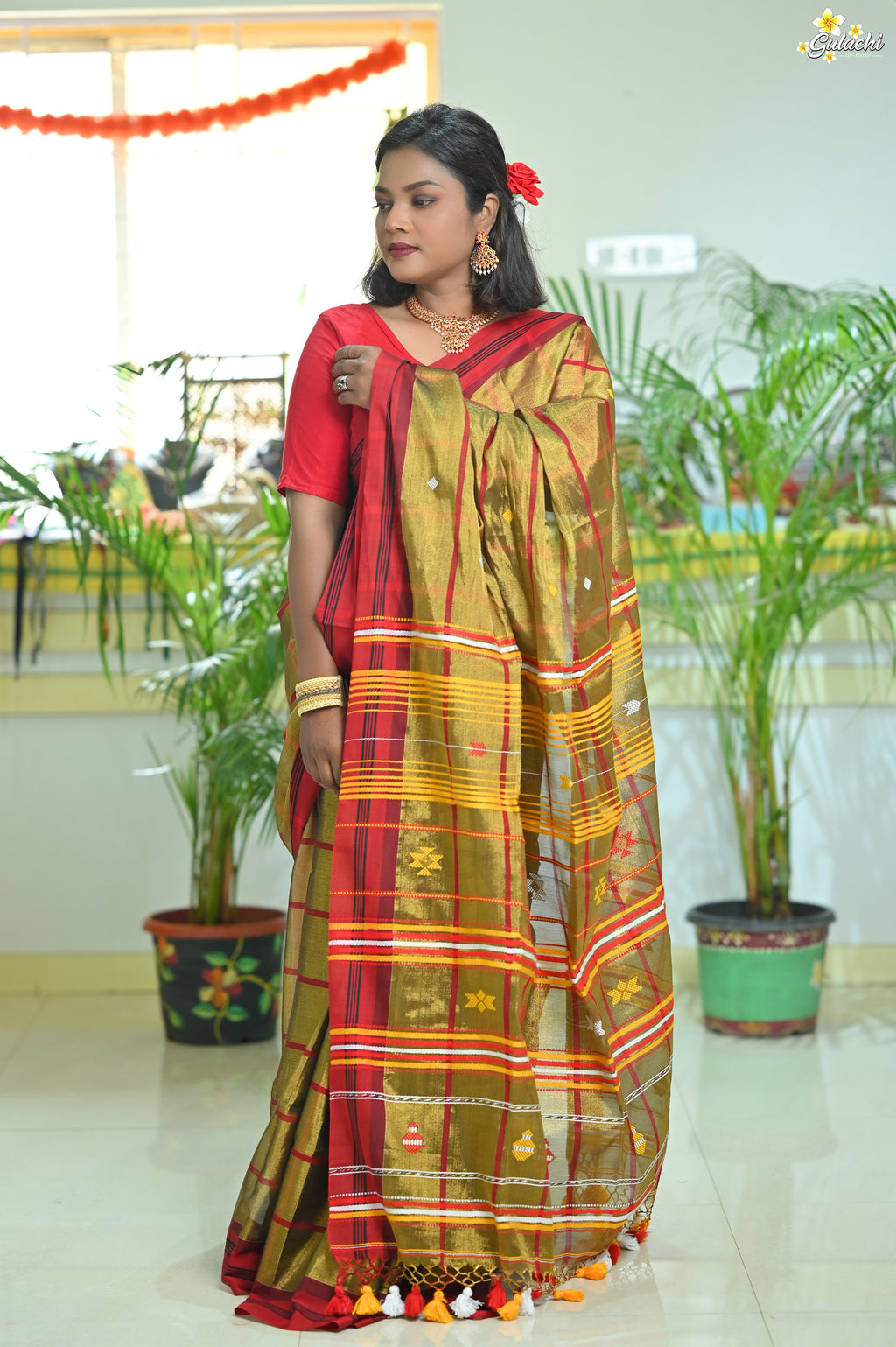 Tissue Cotton Jhal Saree