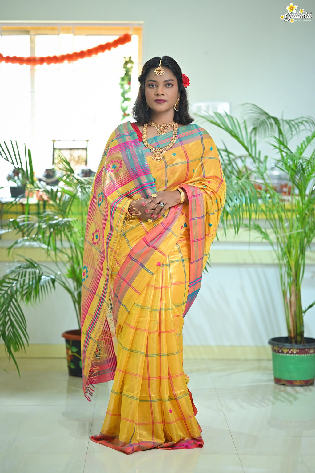 Tissue Zari Jhal Saree