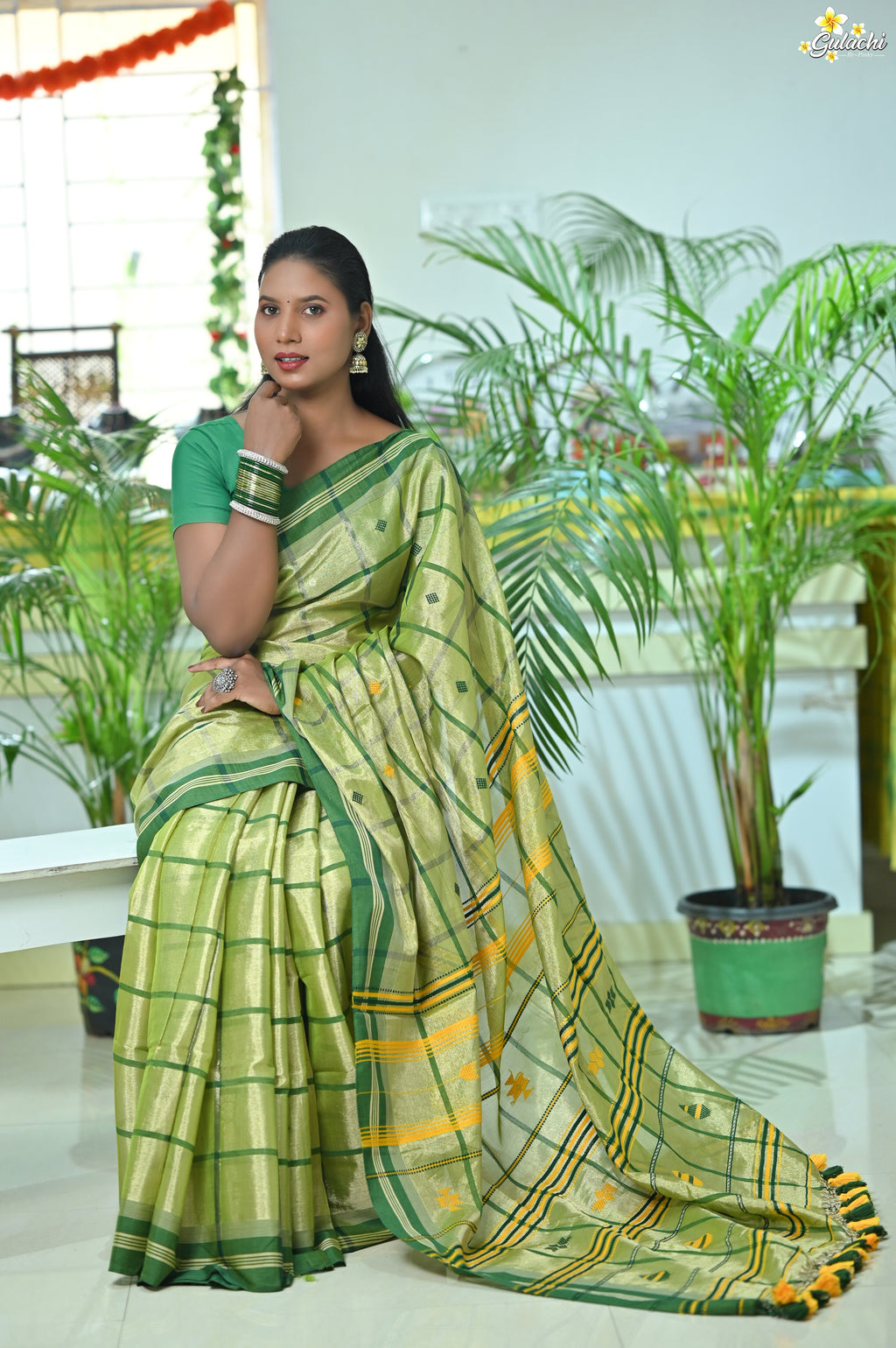 Tissue Cotton Jhal Saree