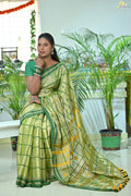 Tissue Cotton Jhal Saree