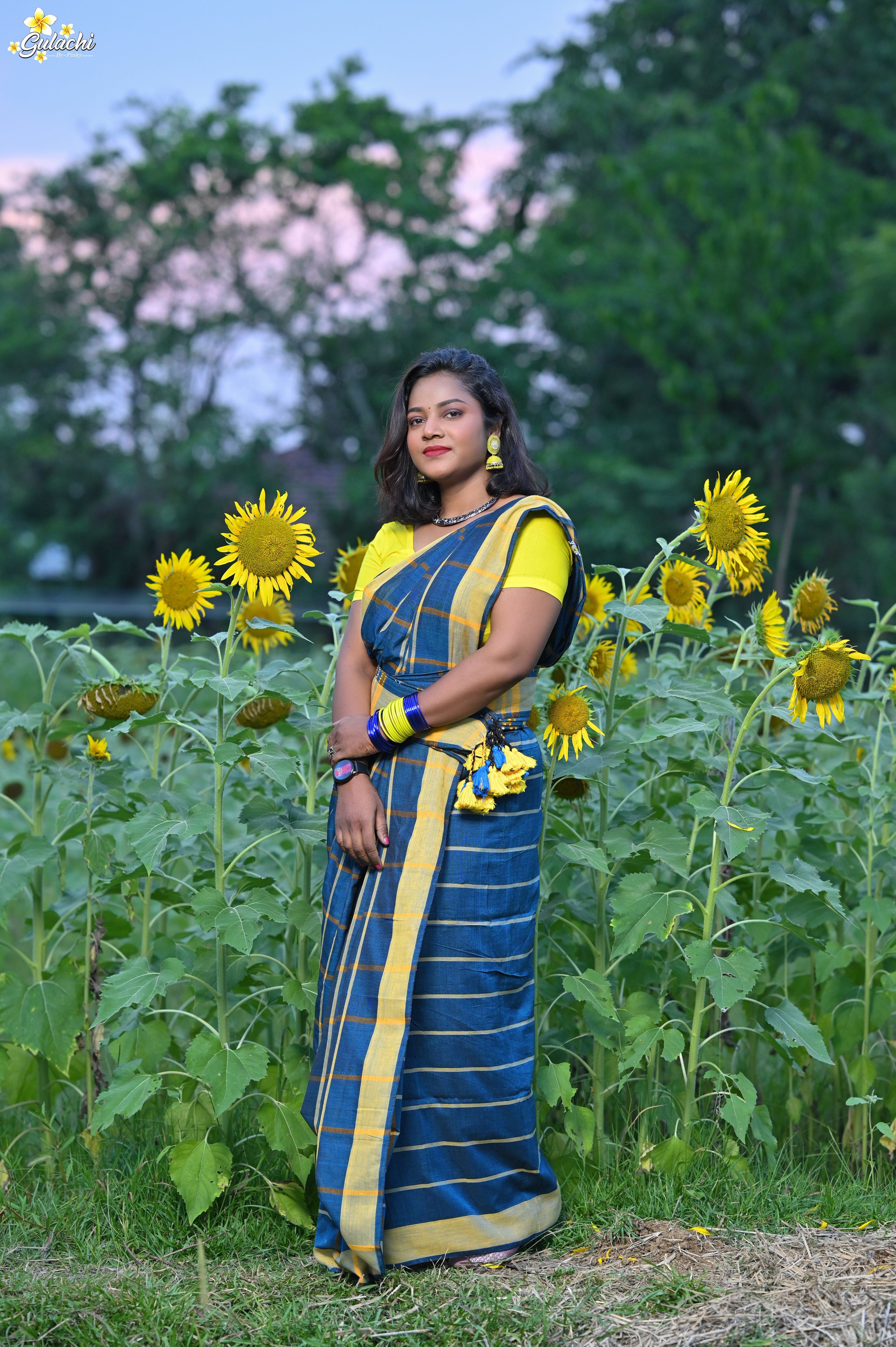 Handloom Cotton Jhal Saree