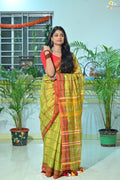 Tissue Cotton Jhal Saree