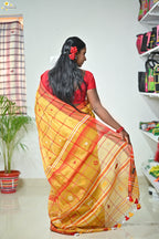 Tissue Cotton Jhal Saree