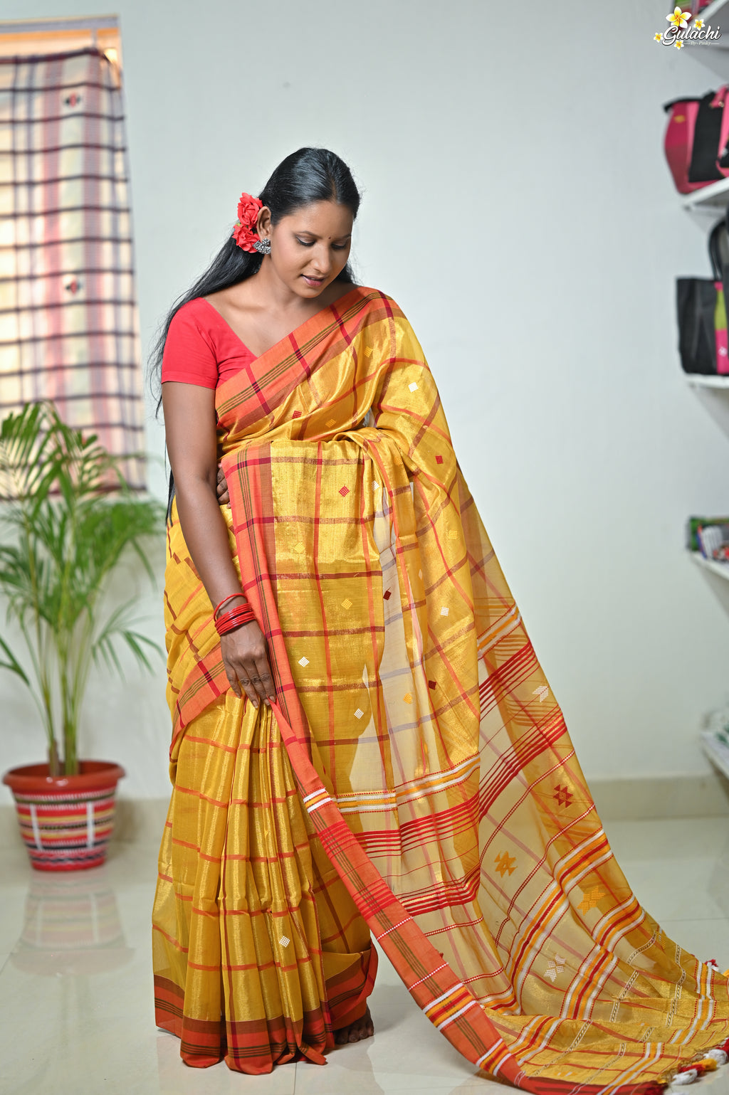 Tissue Cotton Jhal Saree
