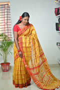 Tissue Cotton Jhal Saree