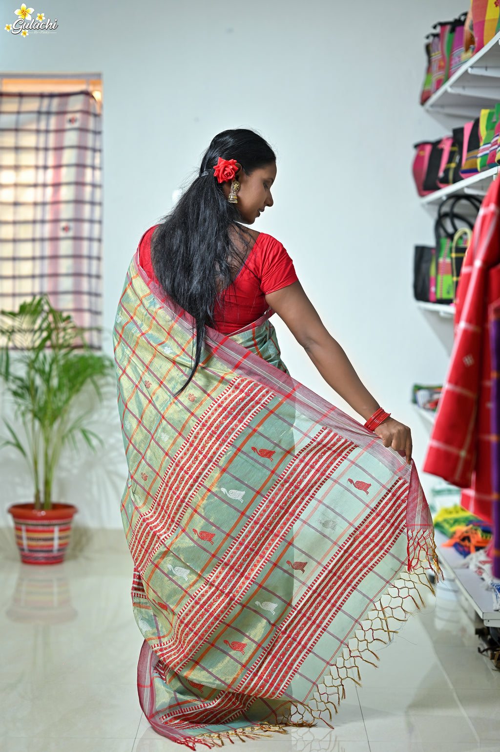 Tissue Cotton Jhal Saree