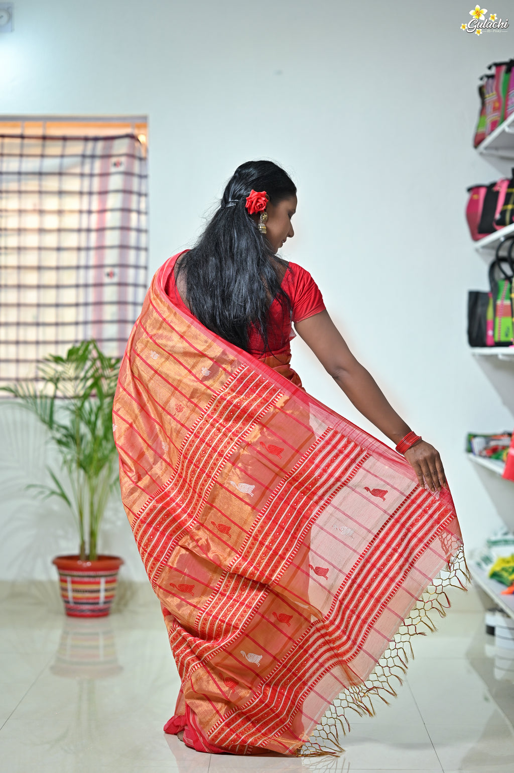 Tissue Cotton Jhal Saree