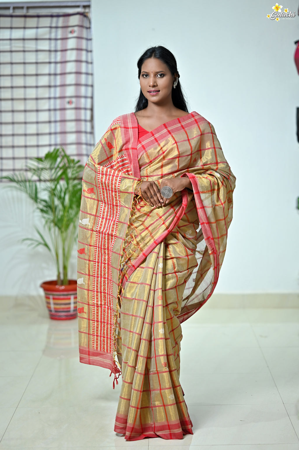 Tissue Cotton Jhal Saree