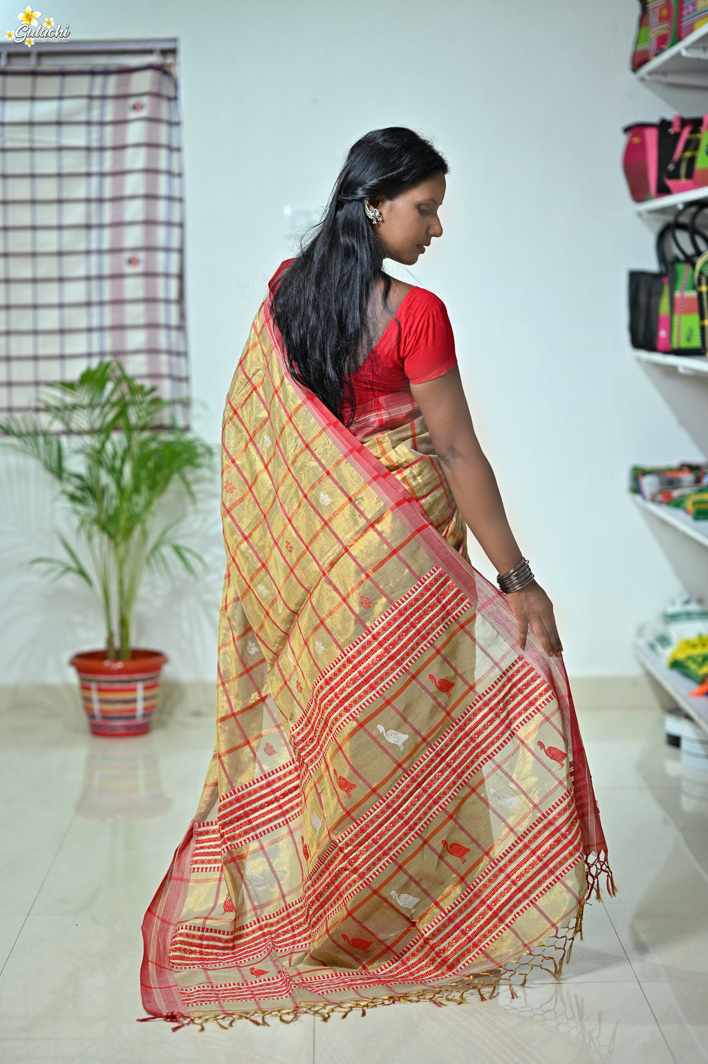 Tissue Cotton Jhal Saree