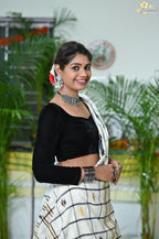 Handloom Cotton Jhal Saree